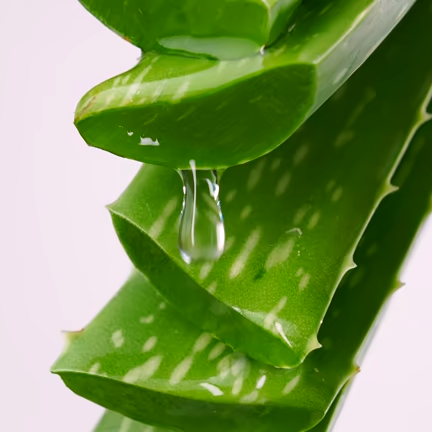 Aloe vera gel